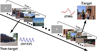 A Benchmark Dataset for RSVP-Based Brain–Computer Interfaces